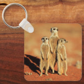 Kutest Baby Animals | 3 Meerkat Sleutelhanger (Voorkant)