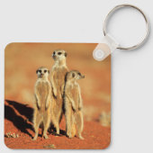 Kutest Baby Animals | 3 Meerkat Sleutelhanger (Achterkant)