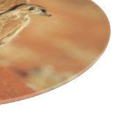 Kutest Baby Animals | 3 Meerkat Snijplank (Hoek)