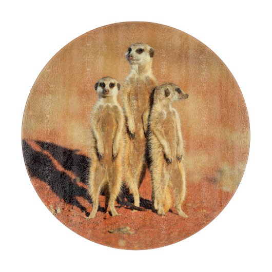 Kutest Baby Animals | 3 Meerkat Snijplank (Voorkant)