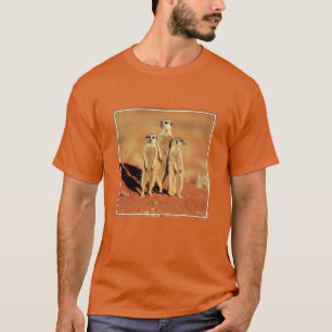 Kutest Baby Animals 3 Meerkat T-shirt