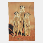 Kutest Baby Animals | 3 Meerkat Theedoek (Verticaal)