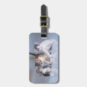 Kutest Baby Animals | 3 Tabby Kittens Bagagelabel (Voorkant verticaal)