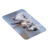 Kutest Baby Animals | 3 Tabby Kittens Magneet (Rechterzijde)