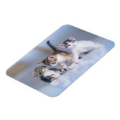 Kutest Baby Animals | 3 Tabby Kittens Magneet (Linkerzijde)