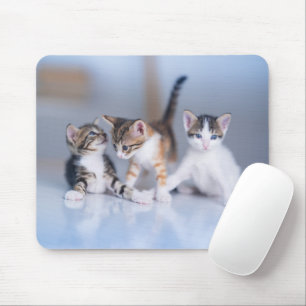 Kutest Baby Animals 3 Tabby Kittens Muismat