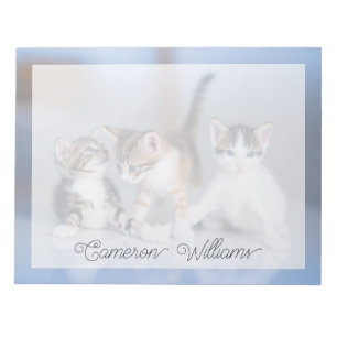 Kutest Baby Animals 3 Tabby Kittens Notitieblok