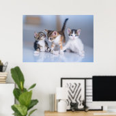 Kutest Baby Animals | 3 Tabby Kittens Poster (Thuiskantoor)