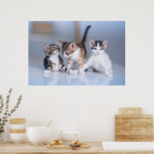 Kutest Baby Animals | 3 Tabby Kittens Poster (Keuken)