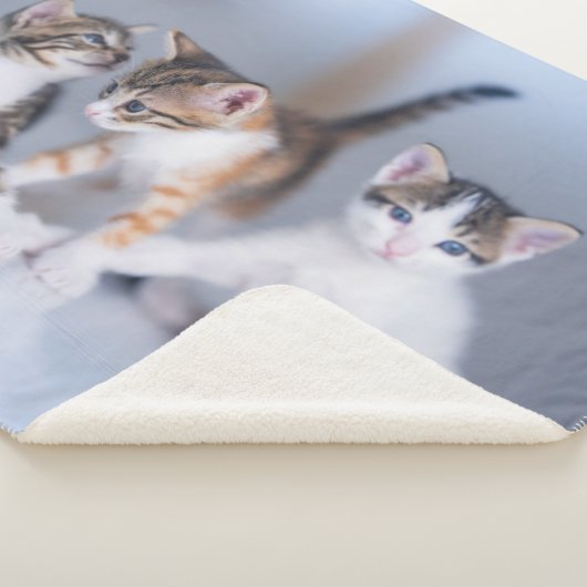 Kutest Baby Animals | 3 Tabby Kittens Sherpa Deken (3/4)