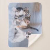 Kutest Baby Animals | 3 Tabby Kittens Sherpa Deken (Voorkant)