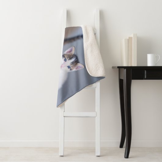 Kutest Baby Animals | 3 Tabby Kittens Sherpa Deken (In situ)