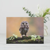 Kutest Baby Animals | A Baby Owl Bedankkaart (Staand voorkant)