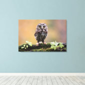 Kutest Baby Animals | A Baby Owl Canvas Afdruk (Insitu (Houten vloer))