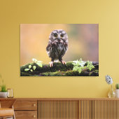 Kutest Baby Animals | A Baby Owl Canvas Afdruk (Insitu (Woonkamer))