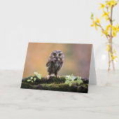 Kutest Baby Animals | A Baby Owl Kaart (Gele Bloem)