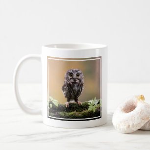 Kutest Baby Animals   A Baby Owl Koffiemok