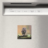 Kutest Baby Animals | A Baby Owl Magneet (Insitu (Vaatwasser))