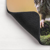 Kutest Baby Animals | A Baby Owl Muismat (Hoek)