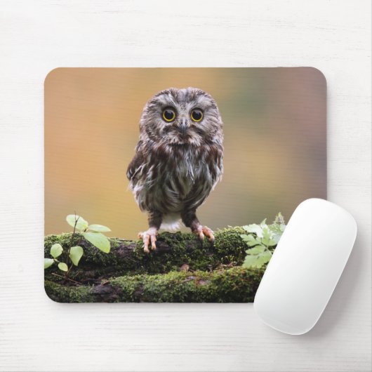 Kutest Baby Animals | A Baby Owl Muismat (Met muis)