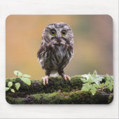 Kutest Baby Animals | A Baby Owl Muismat (Voorkant)