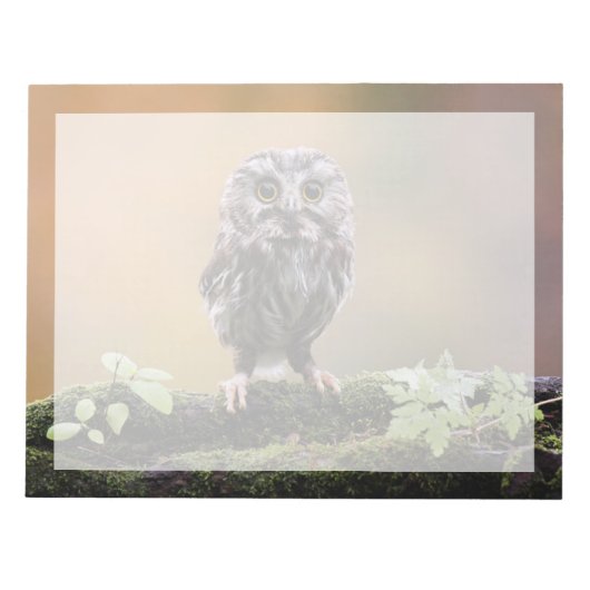 Kutest Baby Animals | A Baby Owl Notitieblok (Voorkant)