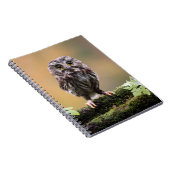 Kutest Baby Animals | A Baby Owl Notitieboek (Rechterzijde)