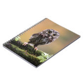 Kutest Baby Animals | A Baby Owl Notitieboek (Linkerzijde)