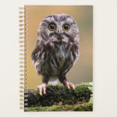 Kutest Baby Animals | A Baby Owl Planner (Voorkant)