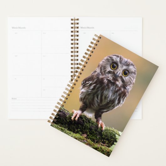 Kutest Baby Animals | A Baby Owl Planner (Display)