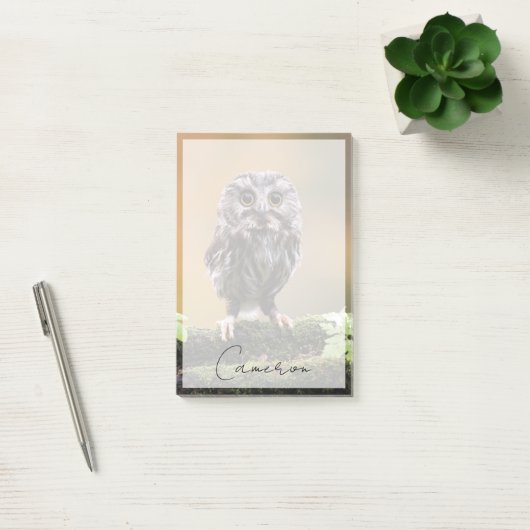 Kutest Baby Animals | A Baby Owl Post-it® Notes (Kantoor)