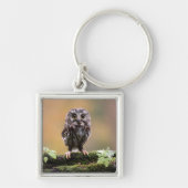Kutest Baby Animals | A Baby Owl Sleutelhanger (Voorkant)
