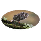 Kutest Baby Animals | A Baby Owl Snijplank (Hoek)