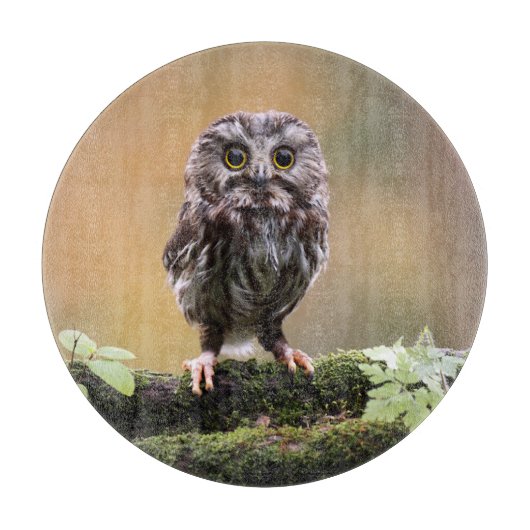 Kutest Baby Animals | A Baby Owl Snijplank (Voorkant)