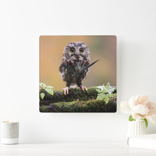 Kutest Baby Animals | A Baby Owl Vierkante Klok (Huis)