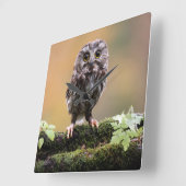 Kutest Baby Animals | A Baby Owl Vierkante Klok (Hoek)