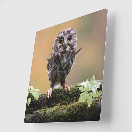 Kutest Baby Animals | A Baby Owl Vierkante Klok (Hoek)