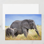 Kutest Baby Animals | Afrikaanse olifant en moeder Bedankkaart (Voorkant / Achterkant)