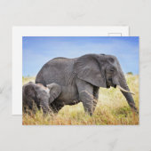 Kutest Baby Animals | Afrikaanse olifant en moeder Briefkaart (Voorkant / Achterkant)