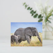 Kutest Baby Animals | Afrikaanse olifant en moeder Briefkaart (Staand voorkant)