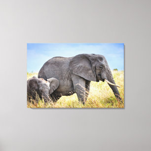 Kutest Baby Animals Afrikaanse olifant en moeder Canvas Afdruk