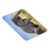 Kutest Baby Animals | Afrikaanse olifant en moeder Magneet (Rechterzijde)