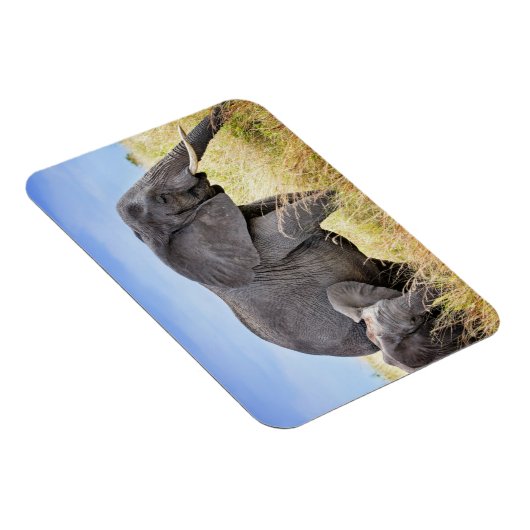 Kutest Baby Animals | Afrikaanse olifant en moeder Magneet (Rechterzijde)