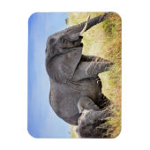 Kutest Baby Animals | Afrikaanse olifant en moeder Magneet (Verticaal)