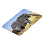 Kutest Baby Animals | Afrikaanse olifant en moeder Magneet (Linkerzijde)