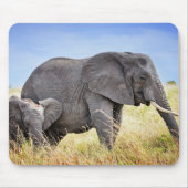Kutest Baby Animals | Afrikaanse olifant en moeder Muismat (Voorkant)