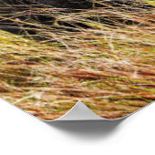 Kutest Baby Animals | Afrikaanse olifant en moeder Poster (Hoek)