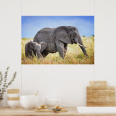 Kutest Baby Animals | Afrikaanse olifant en moeder Poster (Keuken)