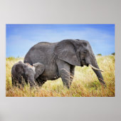 Kutest Baby Animals | Afrikaanse olifant en moeder Poster (Voorkant)