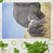 Kutest Baby Animals | Afrikaanse olifant en moeder Theedoek (Gevouwen)